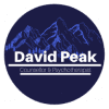 Mountains and a starry night sky representing David Peak.